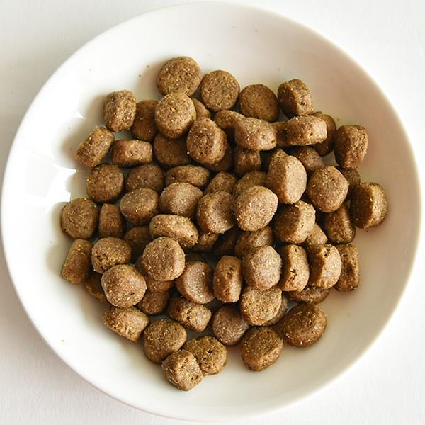 ゴー カーニボア グレインフリー チキンターキー ダック シニア 100g ドックフード 犬と猫のjohn Coco ジョン ココ 通販 Paypayモール