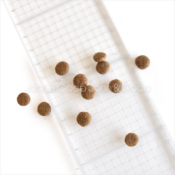 ハッピーキャット シニア アトランティックサーモン 4kg 猫  