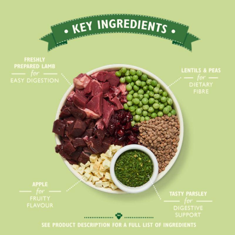 イースターラムシェパーズパイのレシピ