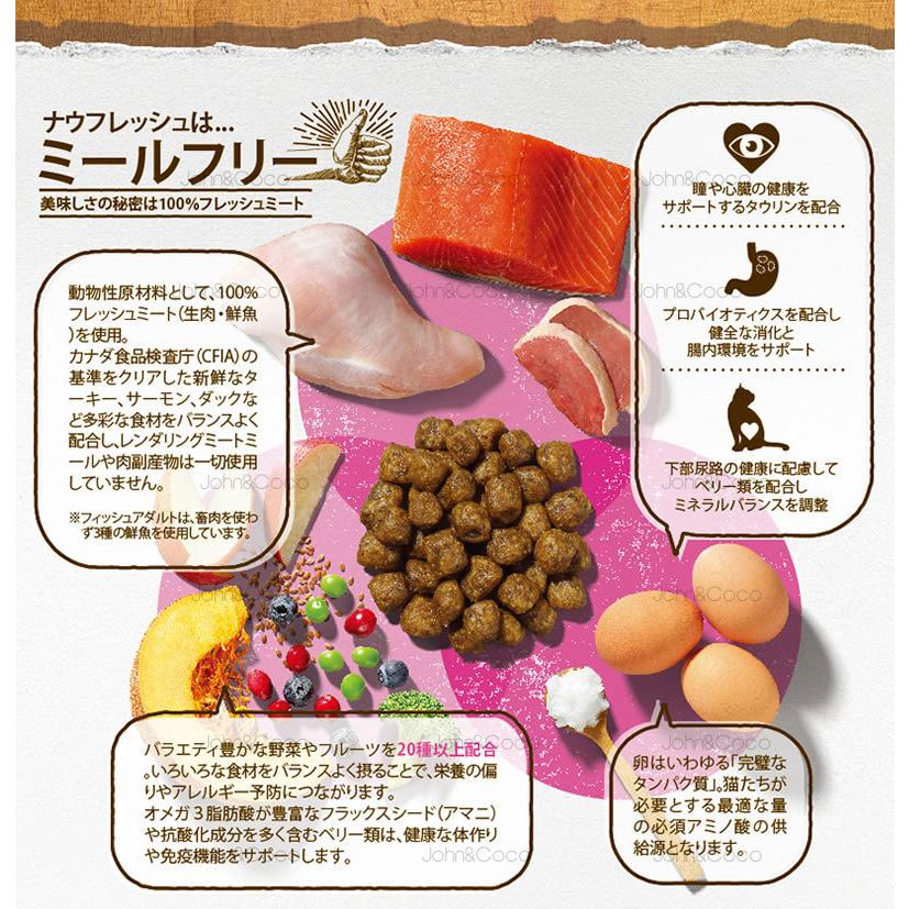 ナウ フレッシュ（NOW FRESH） CAT グレインフリー アダルトキャット 7.25kg 猫 キャットフード ドライフード 成猫 ターキー 小粒 | NOW FRESH | 17