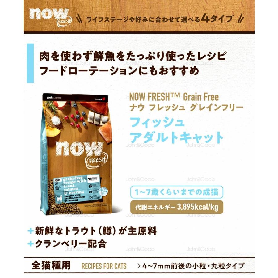 ナウ フレッシュ（NOW FRESH） CAT グレインフリー アダルトキャット 7.25kg 猫 キャットフード ドライフード 成猫 ターキー 小粒 | NOW FRESH | 14