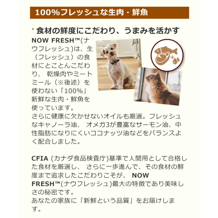 ナウ フレッシュ （NOW FRESH）グレインフリー シニアキャット&ウェイトマネジメント 350g　キャットフード｜john-coco｜12