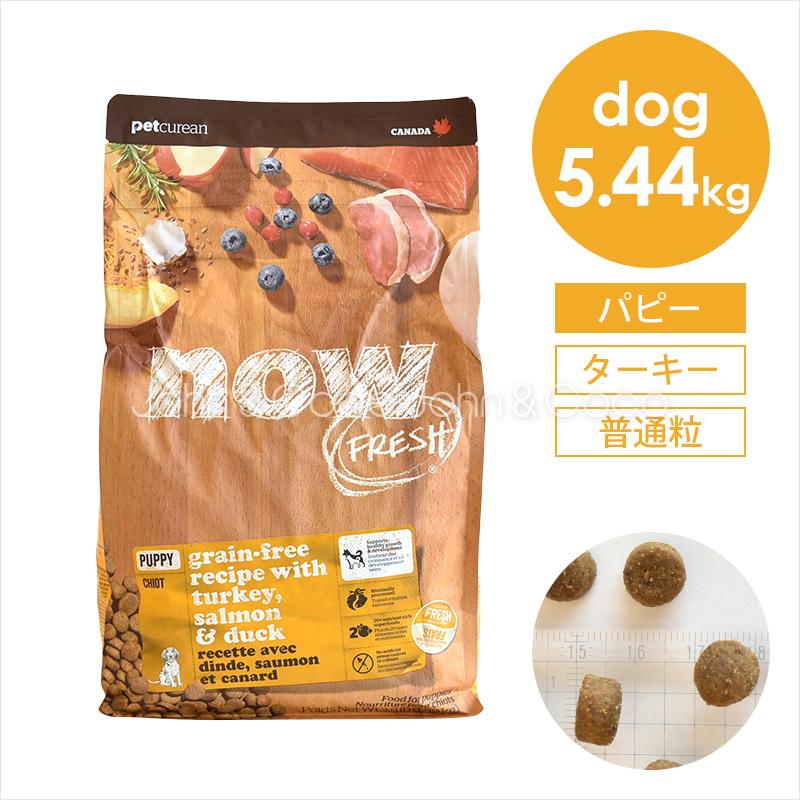 Seal限定商品 ナウ フレッシュ Now Fresh グレインフリー パピー 5 44kg ドッグフード 超人気 Www Sei Ba Gov Br