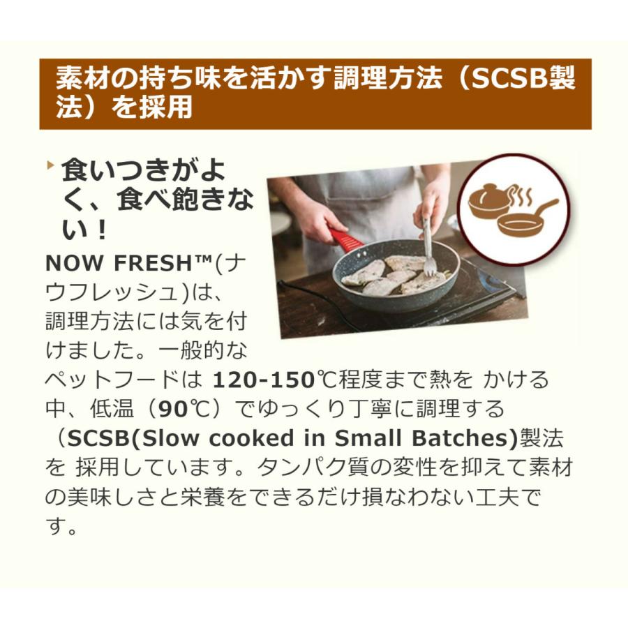 NOW FRESH ナウ フレッシュ（NOW FRESH） グレインフリー