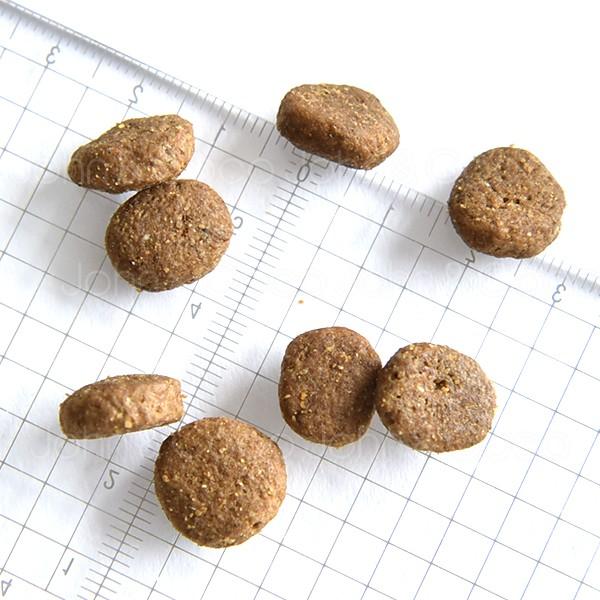 ペットカインド グリーントライプ＆レッドミート-11.34kg : 犬と猫の