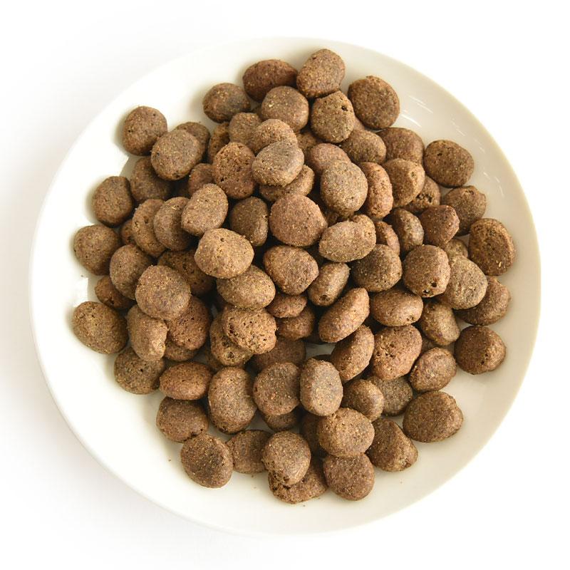 POCHI（ポチ） ザ・ドッグフード ベーシック ワイルドサーモン