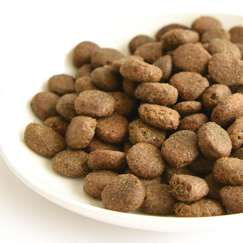 POCHI（ポチ） ザ・ドッグフード ベーシック ワイルドサーモン