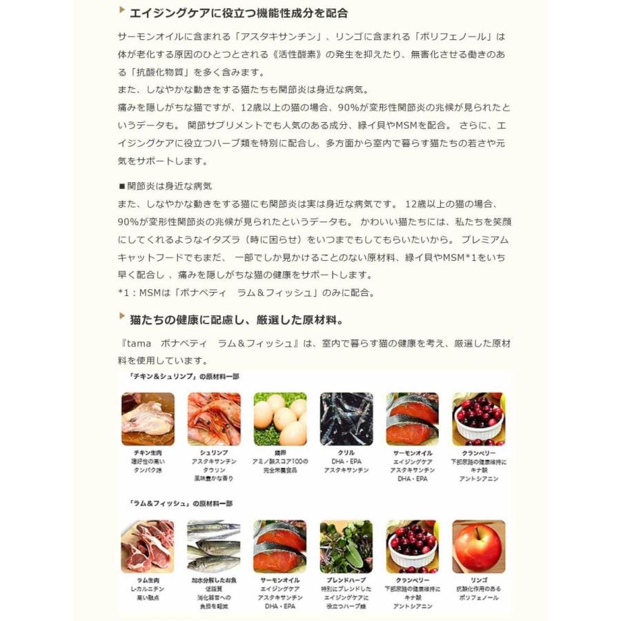 人気の ピタキング ６０２eco クリアー ４２０ｍｌ ソーラー エアゾール 密着剤 プライマー Dprd Jatimprov Go Id