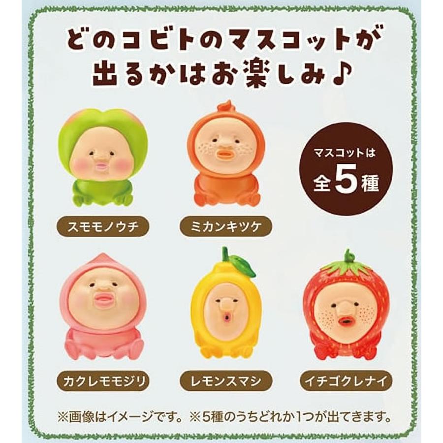 ノルコーポレーション こびとづかん バスボール フルーツバスケット