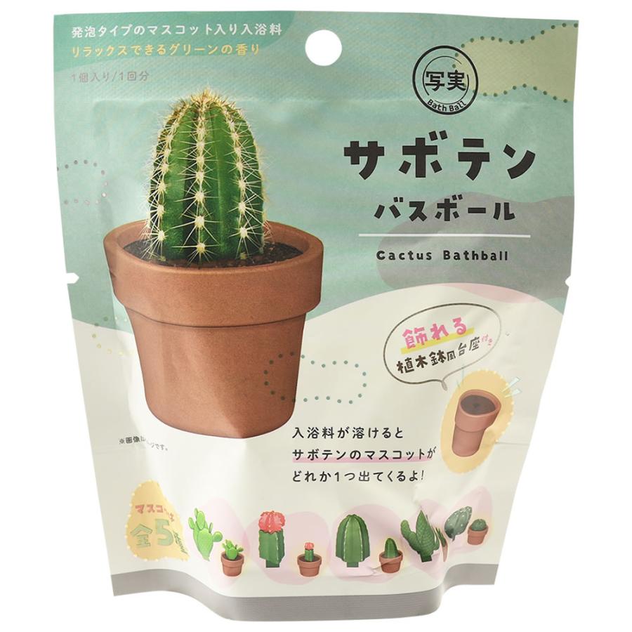 ノルコーポレーション サボテン バスボール リアルなサボテンの