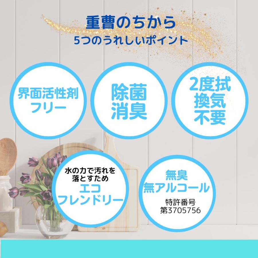 弱アルカリ性電解水 重曹のちから(スプレーボトル)500mL 1本 マルチ