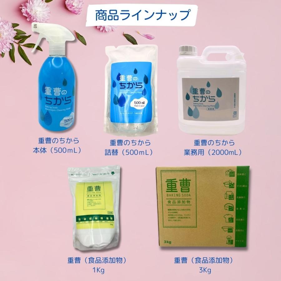 弱アルカリ性電解水 重曹のちから(スプレーボトル)500mL 1本 マルチ