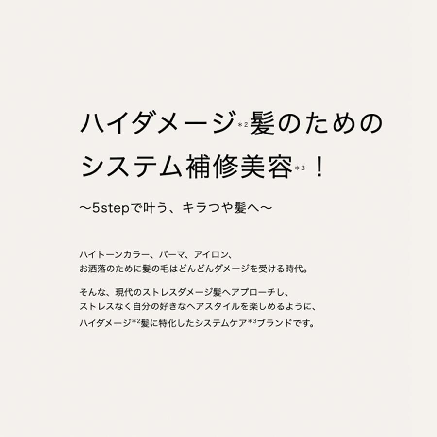 ヘアオイル ボンドプレックス モイスト＆ダメージケア 100mL ハイダメージ カラーダメージ 日本製 つや髪 アミノ酸 うるおい BONDPLEX | BONDPLEX | 05
