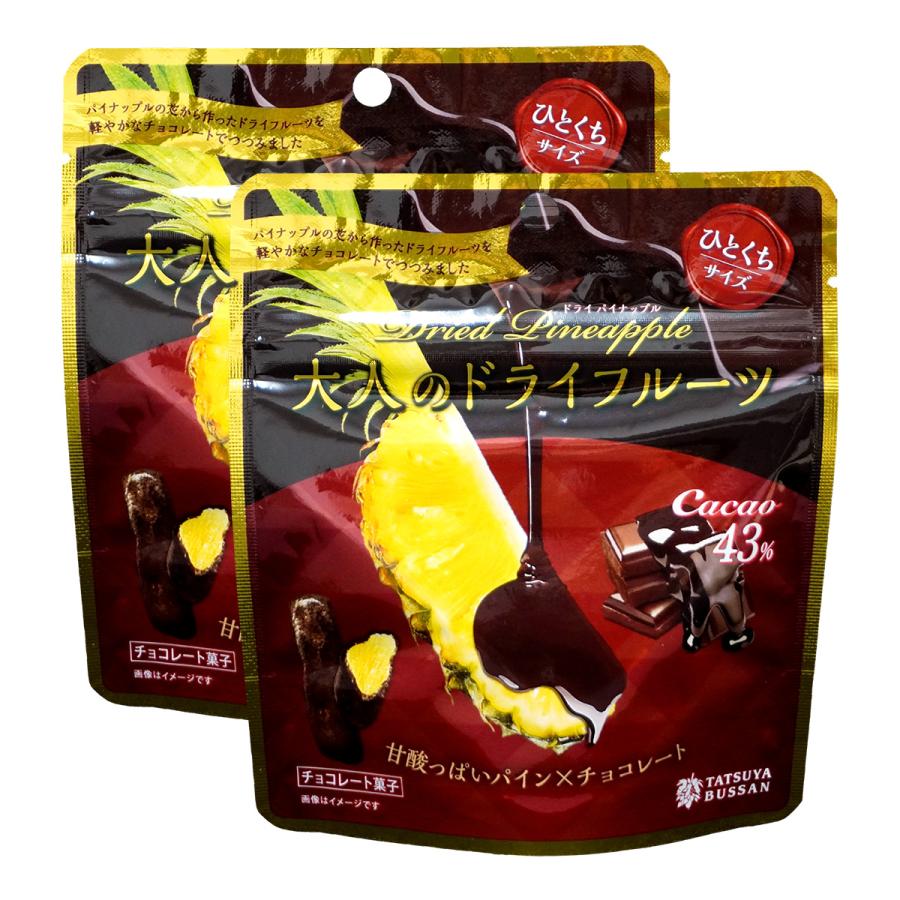 龍屋物産（TATSUYABUSSAN） 大人のドライフルーツ 2袋セット