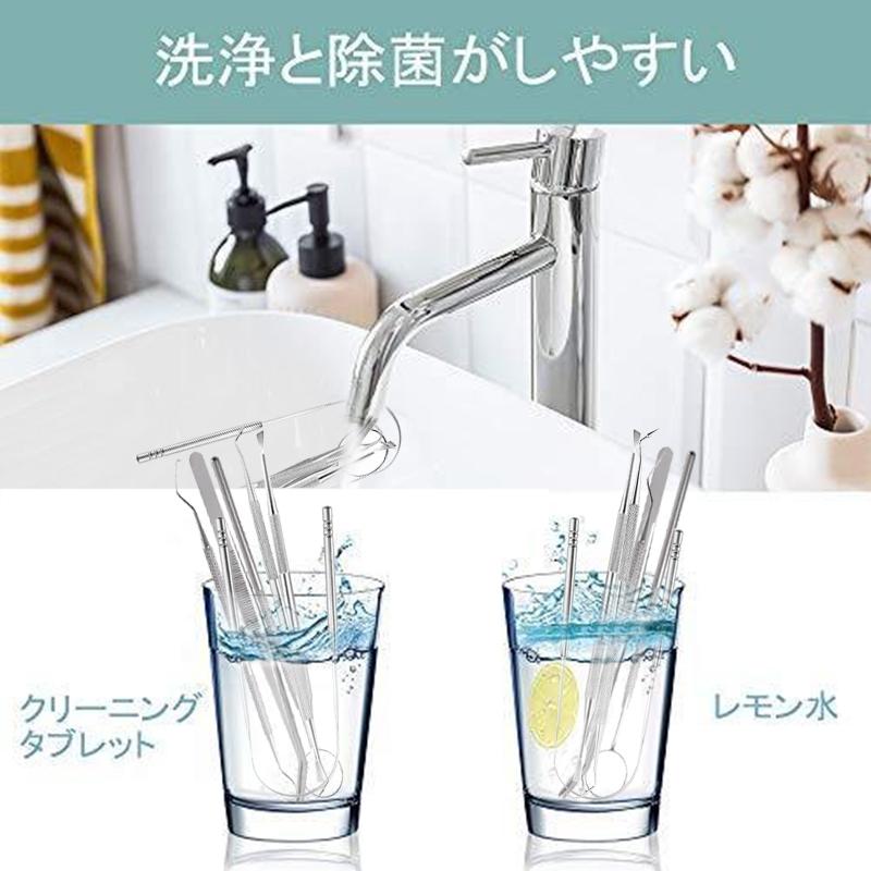 br12#専用ケース付き6本セット歯用ツール ステンレス製 歯石取り自分で