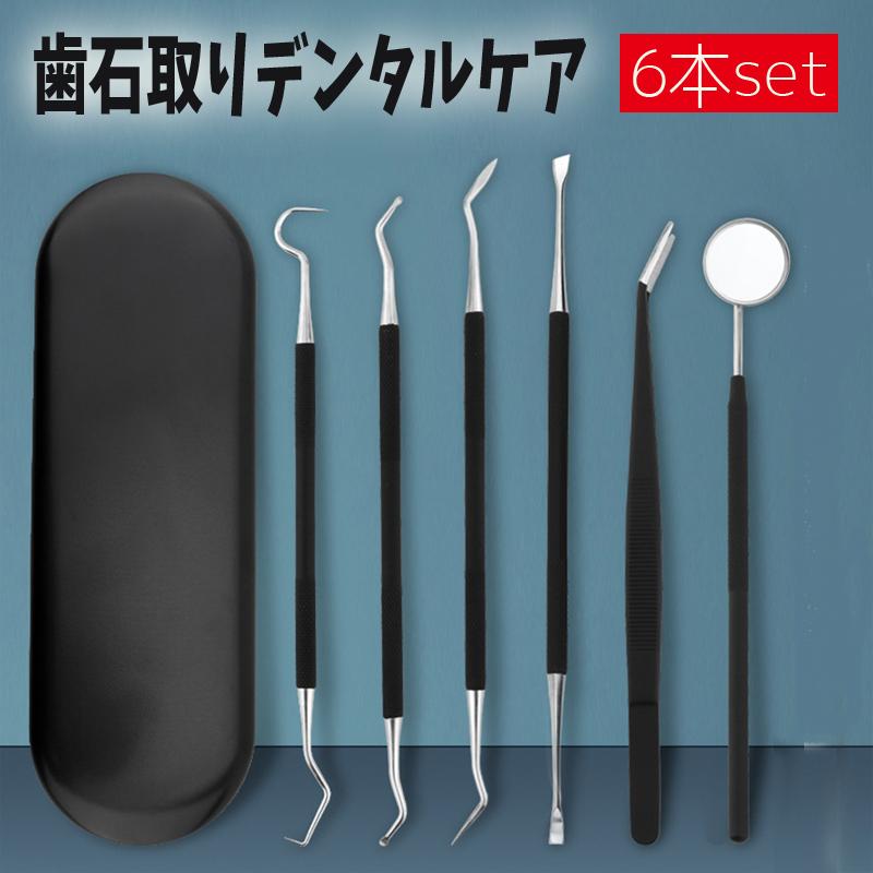 6本セット 歯石取り器具 日本国内当日発送 自宅用 デンタルツール 歯間 ヤニ 歯垢取り 口臭予防 しこう取り 歯石取り器具 歯用ツール 歯石削り 高級感 #br13 | 