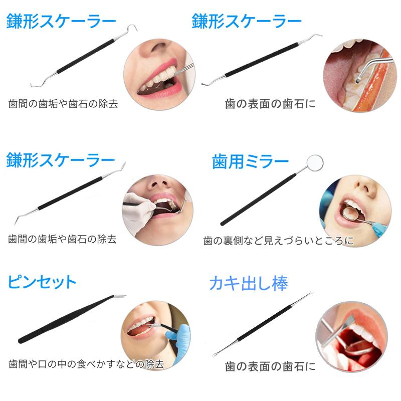 6本セット 歯石取り器具 日本国内当日発送 自宅用 デンタルツール 歯間 ヤニ 歯垢取り 口臭予防 しこう取り 歯石取り器具 歯用ツール 歯石削り 高級感 #br13 |  | 01
