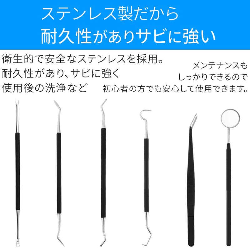 6本セット 歯石取り器具 日本国内当日発送 自宅用 デンタルツール 歯間 ヤニ 歯垢取り 口臭予防 しこう取り 歯石取り器具 歯用ツール 歯石削り 高級感 #br13 |  | 04