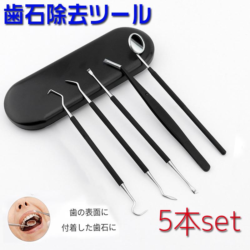 歯石取り器具 5本セット ステンレス製 自宅用 デンタルツール 歯間