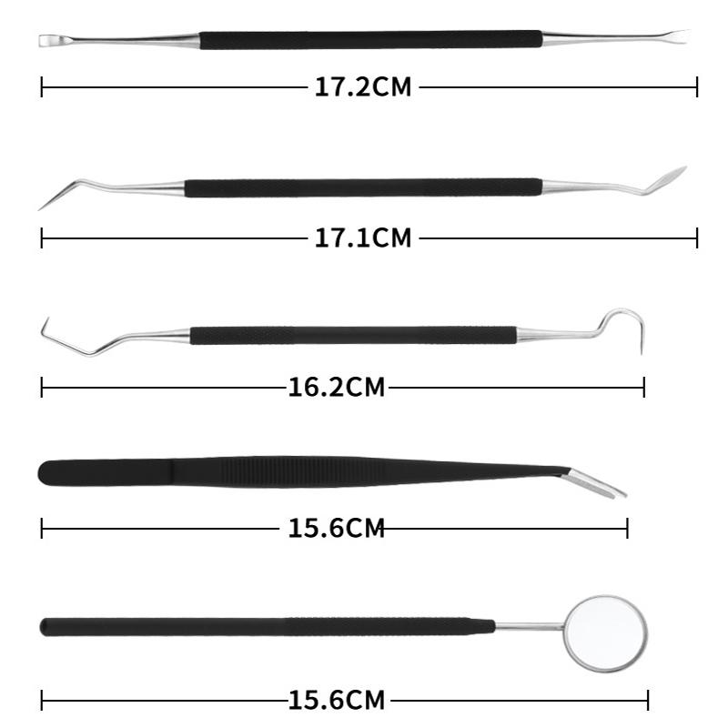 歯石取り器具 5本セット ステンレス製 自宅用 デンタルツール 歯間