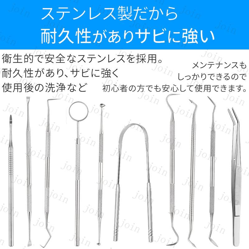10本セット専用ケース付き歯石取り器具 歯石削り セルルケア 豪華 しこう取り ステンレス製 自宅用 デンタルツール 歯間 ヤニ 歯垢取り 口臭予防 #br19 |  | 12