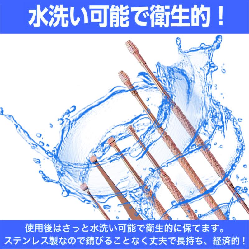 6本セット耳かき みみかき 耳掃除 専用ケース付き ステンレス製 自宅用 ポイント消化  大きい 小さい 手入れ 耳くそ 耳垢 #br21 |  | 06