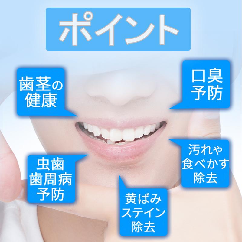 6本セット 歯石取り器具 自宅用 デンタルツール 専用ケース付き 歯間 ヤニ 歯垢取り 口臭予防 しこう取り 歯石取り器具 歯用ツール 歯石削り #br35 |  | 06