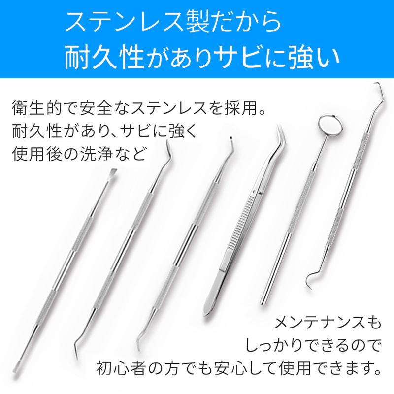 6本セット 歯石取り器具 自宅用 デンタルツール 専用ケース付き 歯間 ヤニ 歯垢取り 口臭予防 しこう取り 歯石取り器具 歯用ツール 歯石削り #br35 |  | 08