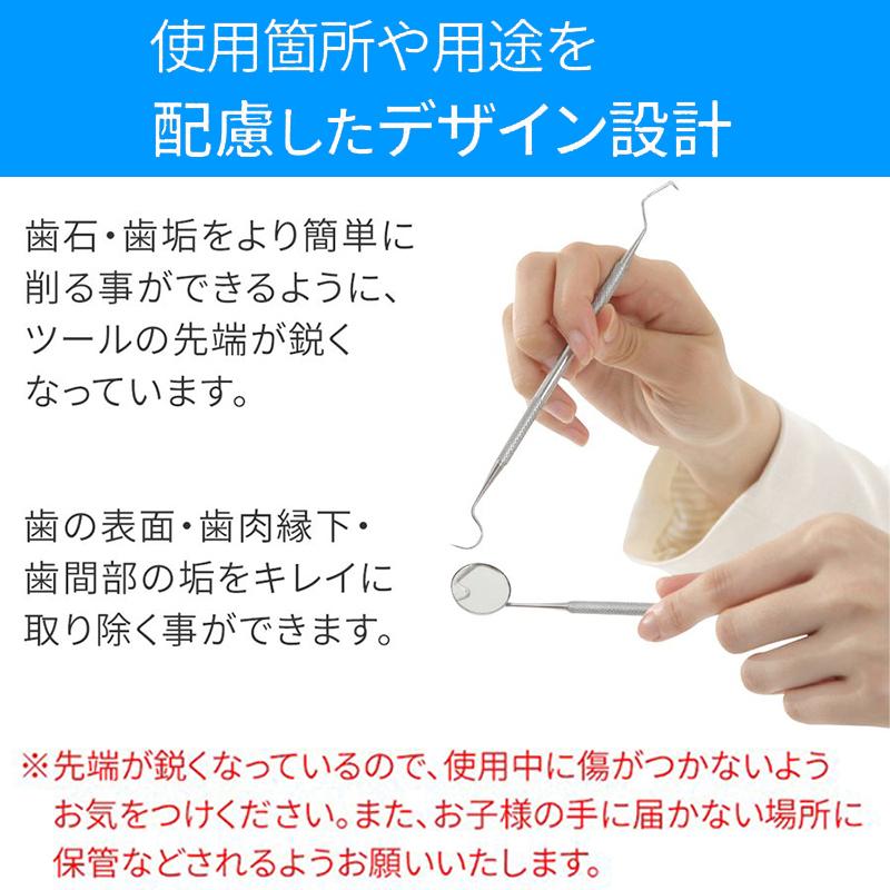 6本セット 歯石取り器具 自宅用 デンタルツール 専用ケース付き 歯間 ヤニ 歯垢取り 口臭予防 しこう取り 歯石取り器具 歯用ツール 歯石削り #br35 |  | 09