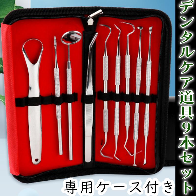 9本セット 歯科口腔清掃キット専用ケース付き 歯石 歯の清掃ツール 舌みがき 送料無料  歯石取り 舌ブラシ タングスクレーパー #br36 | 