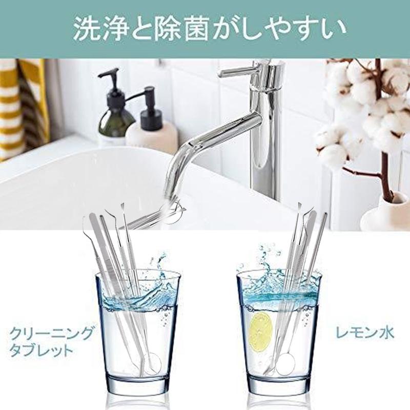 9本セット 歯科口腔清掃キット専用ケース付き 歯石 歯の清掃ツール 舌みがき 送料無料  歯石取り 舌ブラシ タングスクレーパー #br36 |  | 10