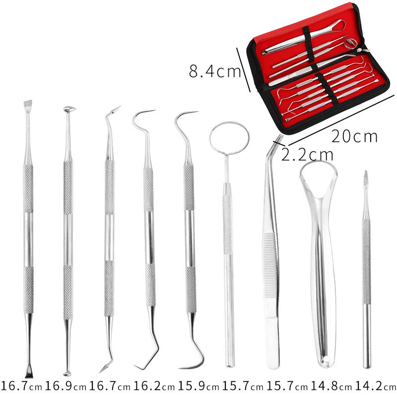 9本セット 歯科口腔清掃キット専用ケース付き 歯石 歯の清掃ツール 舌