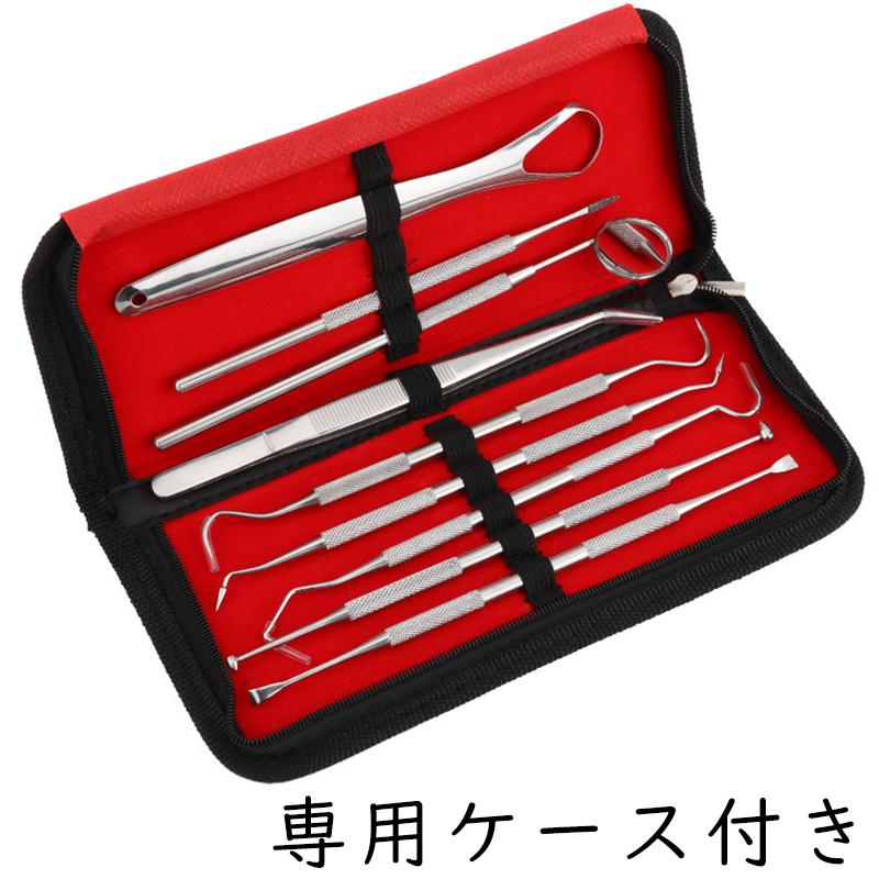 9本セット 歯科口腔清掃キット専用ケース付き 歯石 歯の清掃ツール 舌みがき 送料無料  歯石取り 舌ブラシ タングスクレーパー #br36 |  | 02
