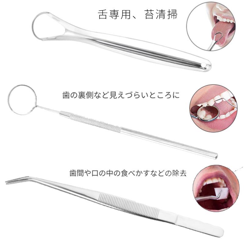 9本セット 歯科口腔清掃キット専用ケース付き 歯石 歯の清掃ツール 舌