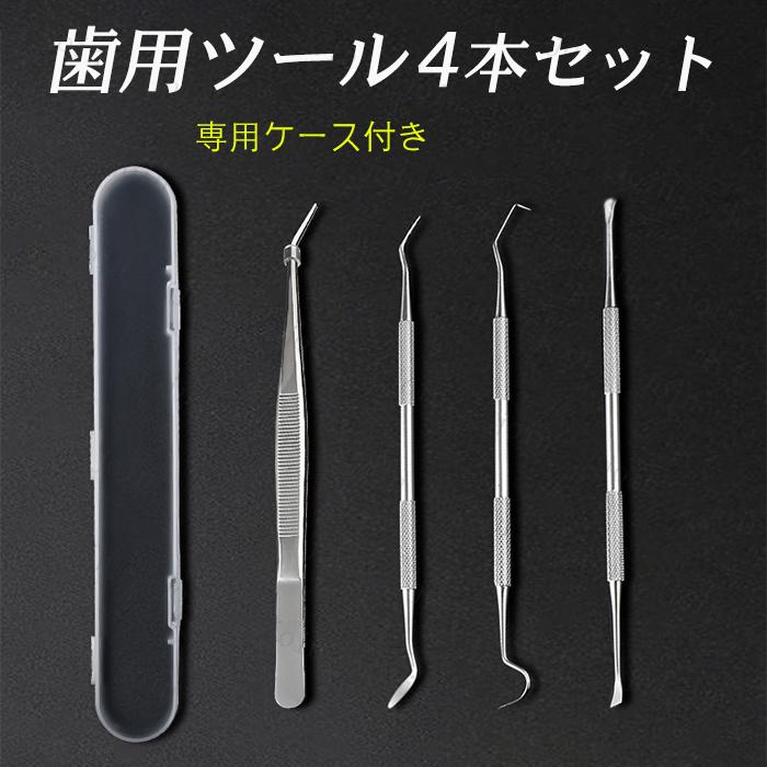 4本セット (#br48) 歯石取り器具 日本国内当日発送 デンタルツール 自宅用 ステンレス製 歯間 ヤニ 歯垢取り 口臭予防 歯石取り スケーラー 歯石取り ケース付き | 