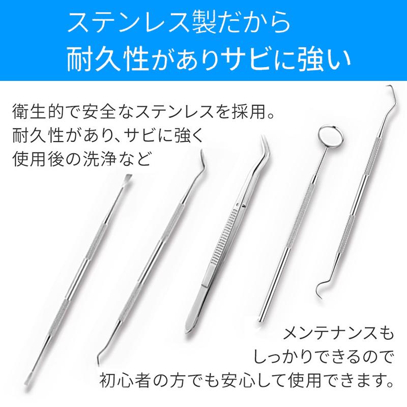 5本セット 歯科口腔清掃キット 専用ケース付き 歯石 歯の清掃ツール