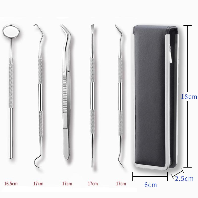5本セット 歯科口腔清掃キット 専用ケース付き 歯石 歯の清掃ツール