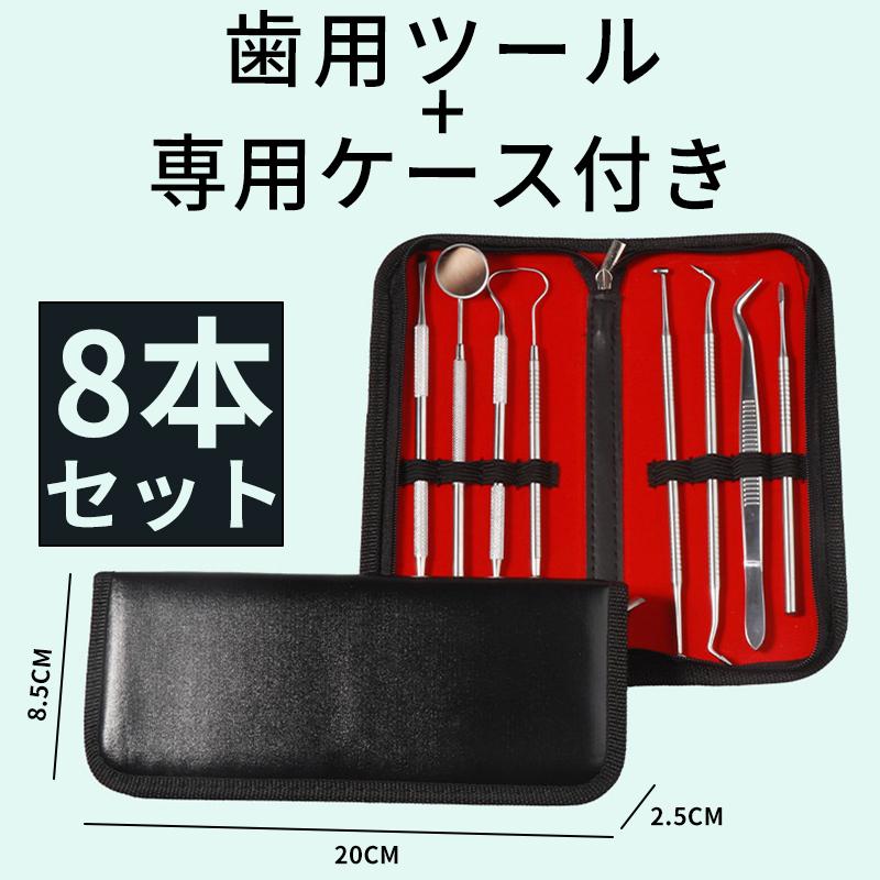 豪華8本セット 歯科口腔清掃キット専用ケース付き 歯石 歯の清掃ツール