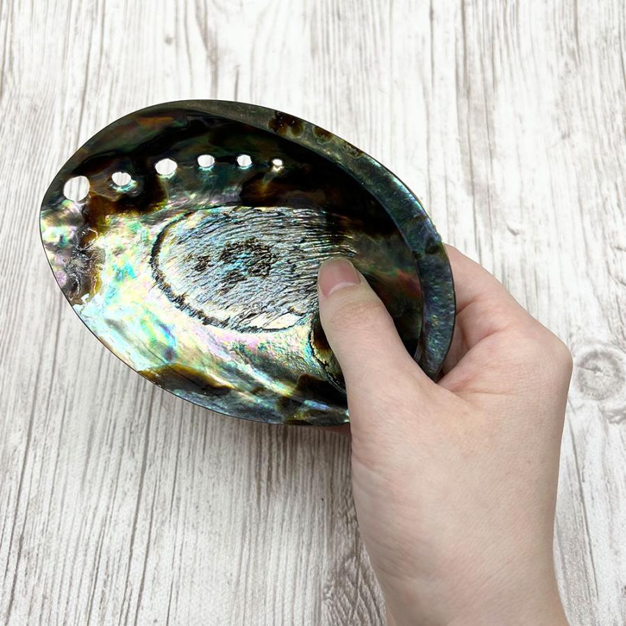 アバロンシェル 皿 avalonshell パウア貝 浄化 アワビ貝殻 両面磨き シェルプレート アクセサリー |  | 03