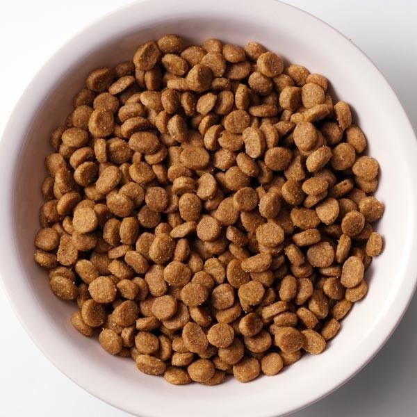 ソルビダ グレインフリー チキン 室内飼育体重管理用 1.8kg （お