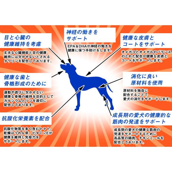 ナチュラルバランス 犬 ホールボディヘルス 5.45kg ドッグフード｜joinus-shop｜04