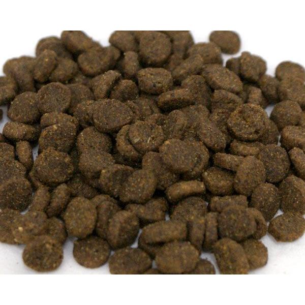 GINGER掲載商品】ナチュラルバランス 犬 スウィートポテト＆フィッシュ