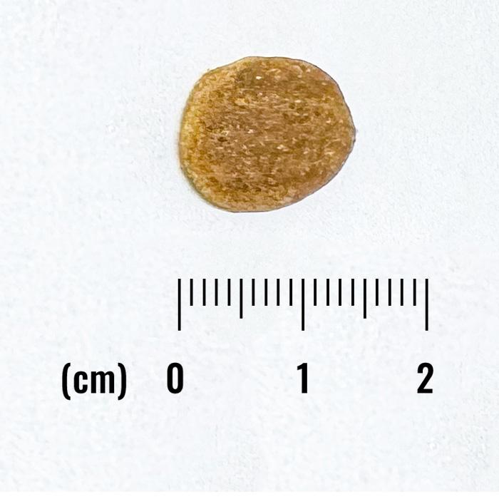 Natural Balance（ナチュラルバランス） 犬 LID ダック＆ポテトレシピ