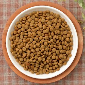 ナチュラルハーベスト（NATURAL harvest） キドニア 1.1kg×6袋 腎臓