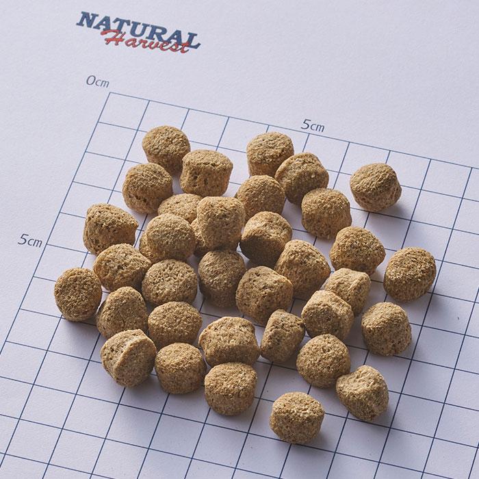 ナチュラルハーベスト レジーム チキン 大粒 5kg ナチュラルハーベスト（NATURAL harvest） レジームチキン 5kg 大粒