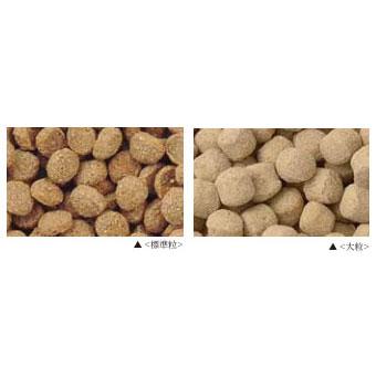 ナチュラルハーベスト（NATURAL harvest） レジームチキン 5kg 大粒