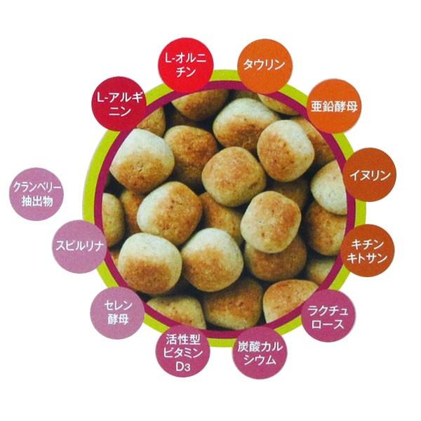 アニウェル すっきりボーロ 60g（20g×3袋） 腎臓の健康に配慮 : ペット
