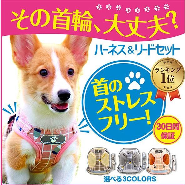 ハーネス 犬 おしゃれ 脱げない 本物 ベルト 小型犬 リード付き 散歩 リード オシャレ 首輪 ストレスフリー フィット感 犬用 首