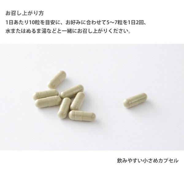 快適いぐさファイバー 約1ヶ月分 300粒入り いぐさ粉末使用 サプリメント 食物繊維 ポスト投函 Y700091 Shop ニッポン放送プロジェクト 通販 Yahoo ショッピング