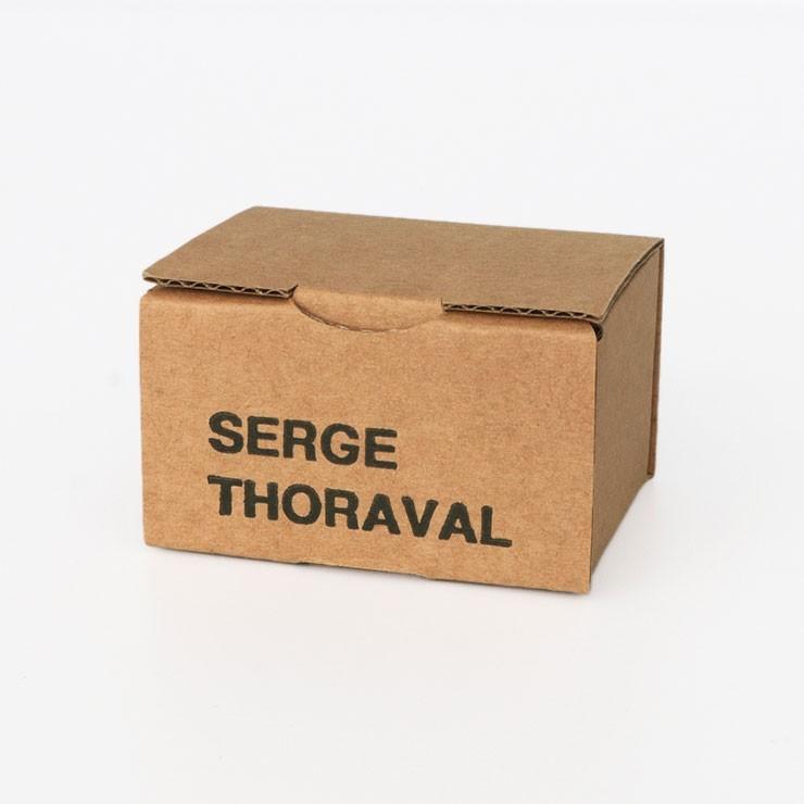 SERGE THORAVAL（セルジュ・トラヴァル） 価格改定前 ネックレス 反射